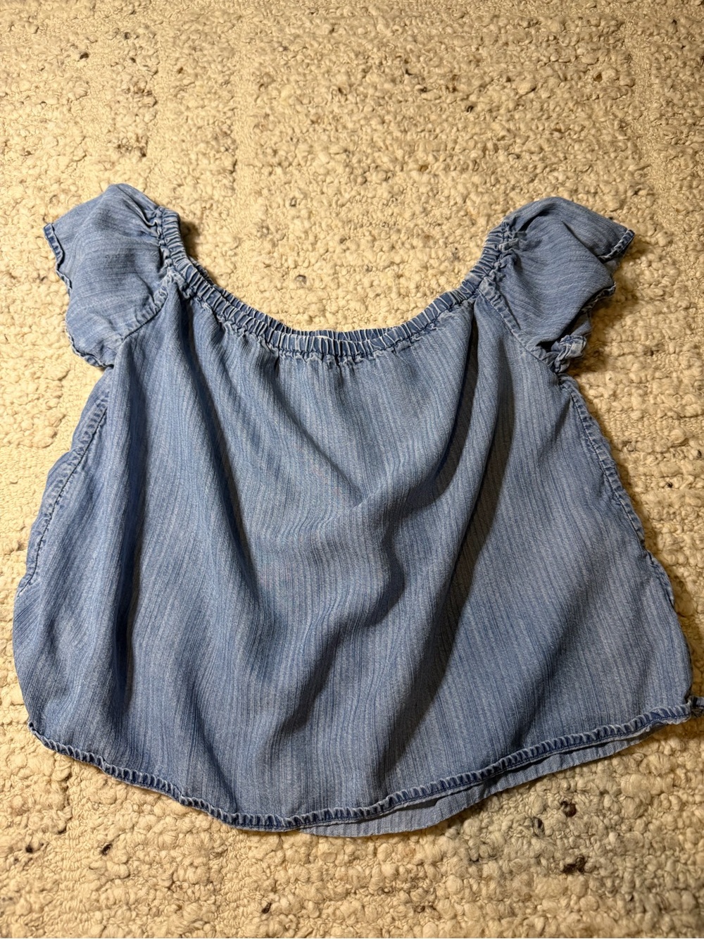 True Religion Light Blue Chambray Top